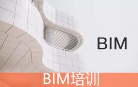 ·BIMѵ